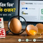 একটি বাস্তব ডিম, ম্যাগনিফাইং গ্লাস, ভাঙা ডিম এবং 'FALSE' স্ট্যাম্পসহ চীনের তথাকথিত কৃত্রিম ডিম নিয়ে ভাইরাল দাবির ফ্যাক্ট-চেক ইলাস্ট্রেশন।